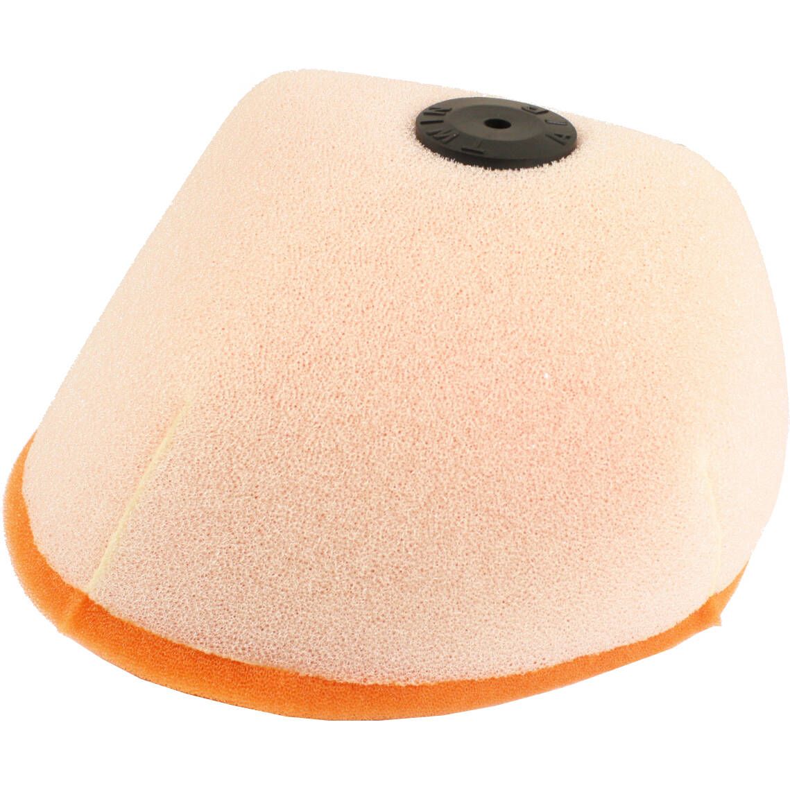 Twin Air Air Filter