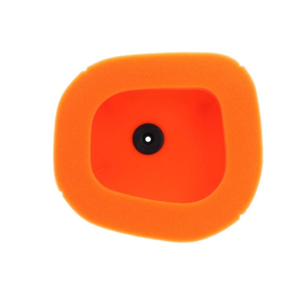 TwinAir Air Filter